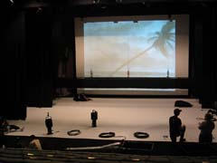 palmtree during tech rehearsal
